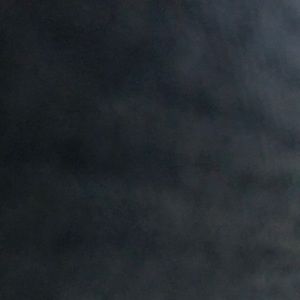 Meet your Posher, Ariel